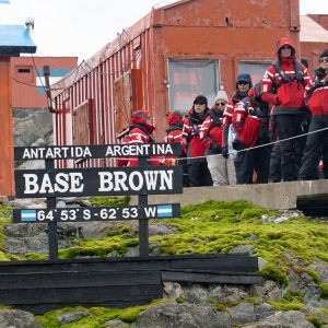 Brown Base