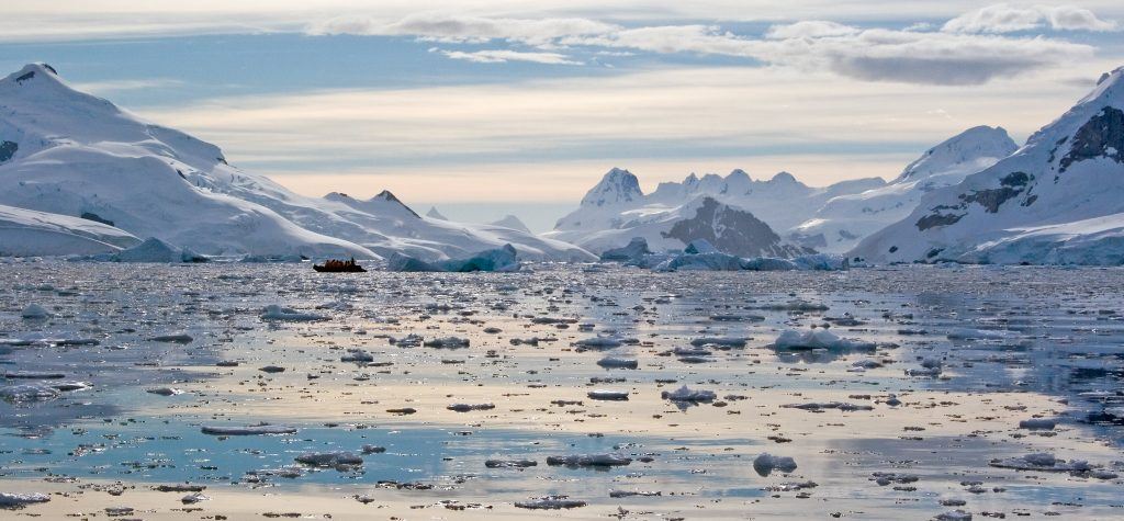 Counting penguins in Antarctica