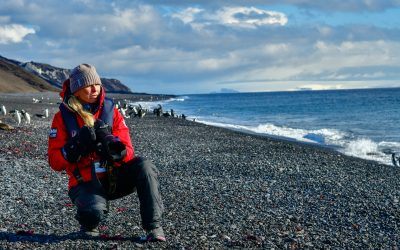 Solo Travel in Antarctica