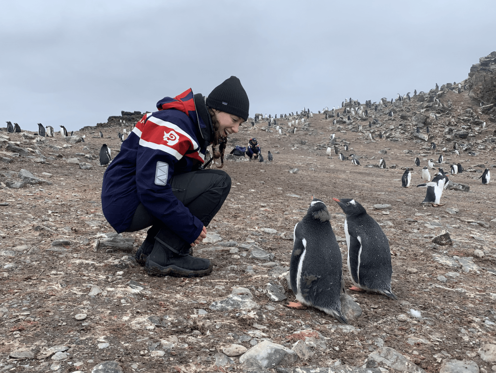 Counting penguins in Antarctica