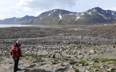 Guest Blog: Falkland Islands, South Georgia and Antarctica