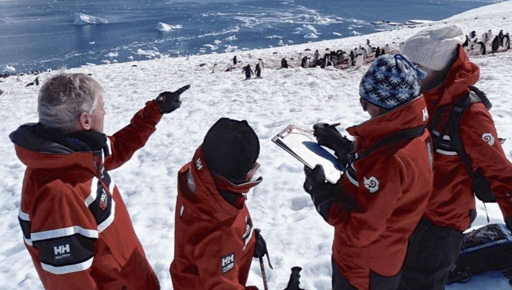 Counting penguins in Antarctica
