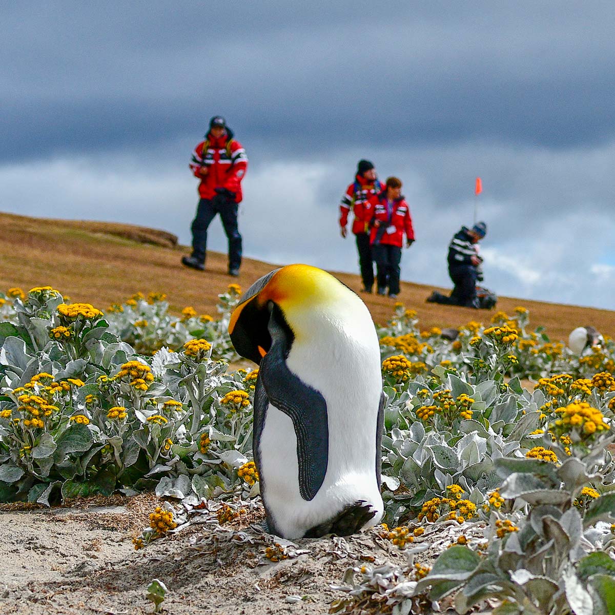Uummannaq
