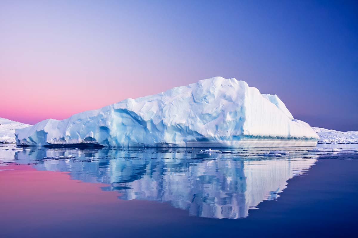 antarctic-to-springs-life-featured
