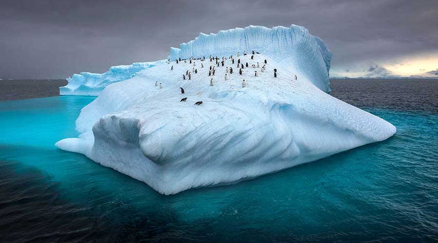 expeditions-antarctica-short
