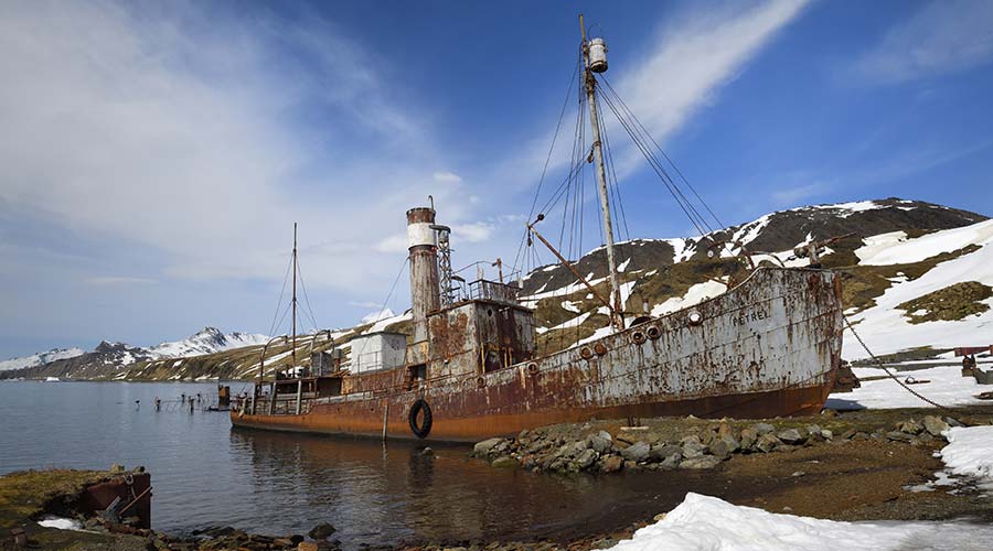 south-georgia-whaling-short