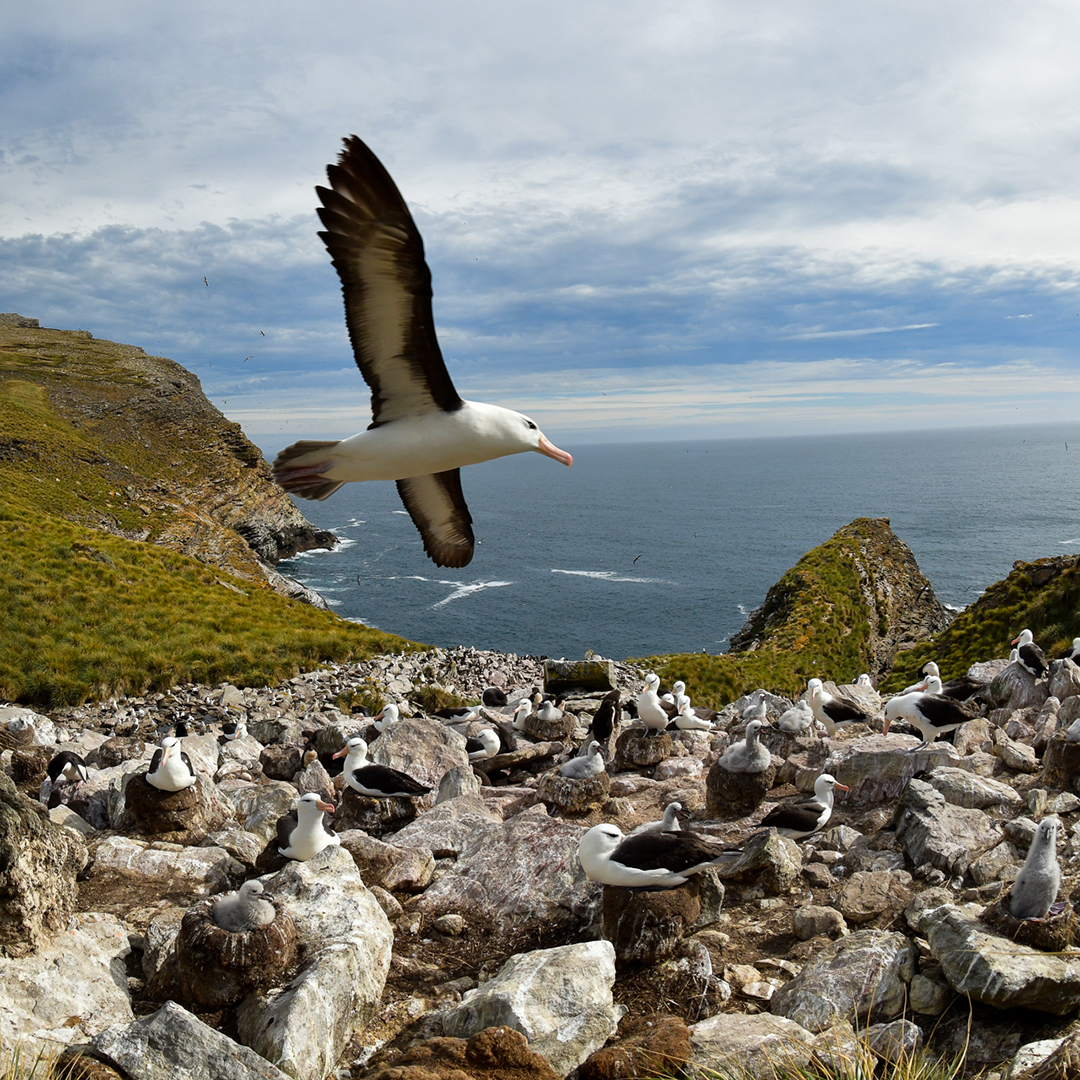 Greenland - Ilulissat
