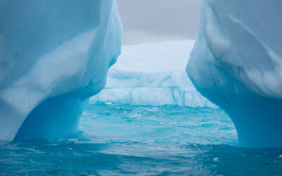 Antarctic Sites – Cierva Cove
