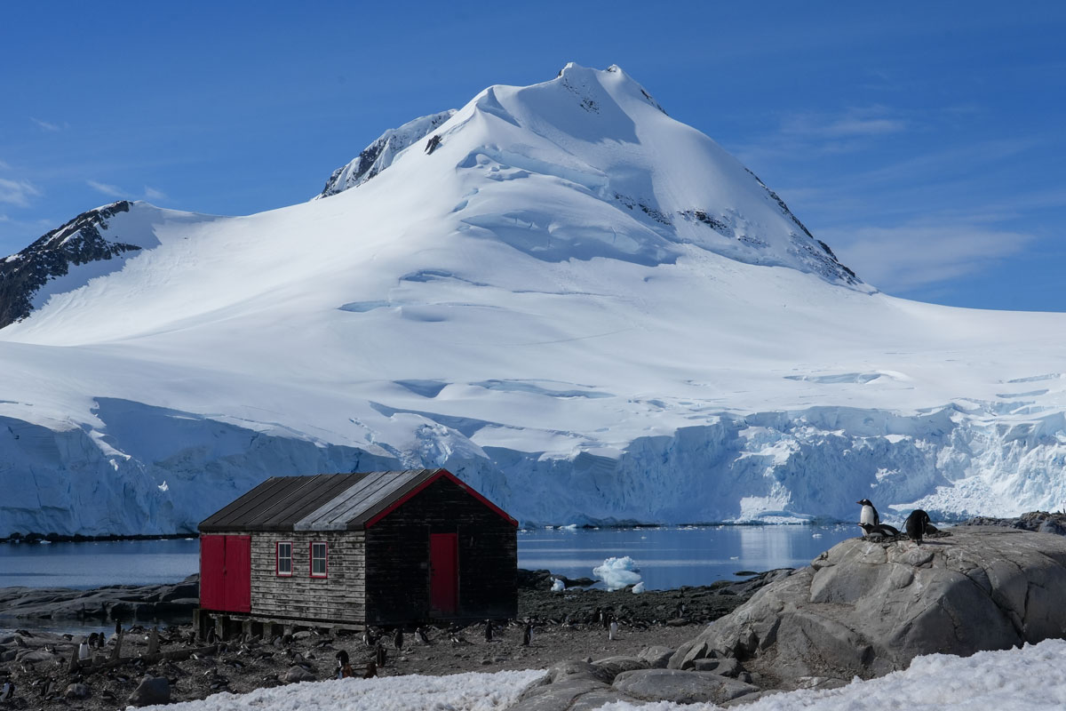 Lemaire-Channel_Port-Lockroy&Jugula-Island Counting penguins in Antarctica