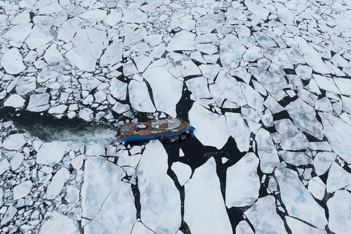 Ocean Albatros cruising through pack ice, Drone view