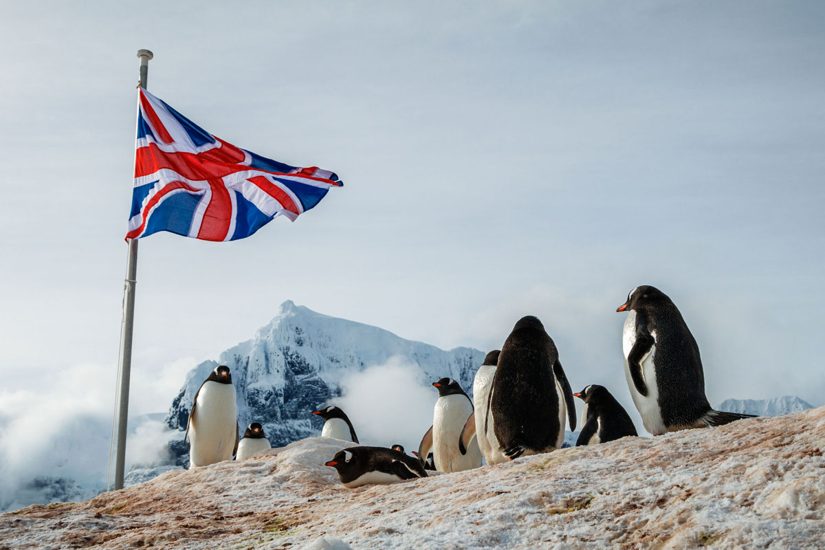 port-lockroy-penguin-colony Counting penguins in Antarctica
