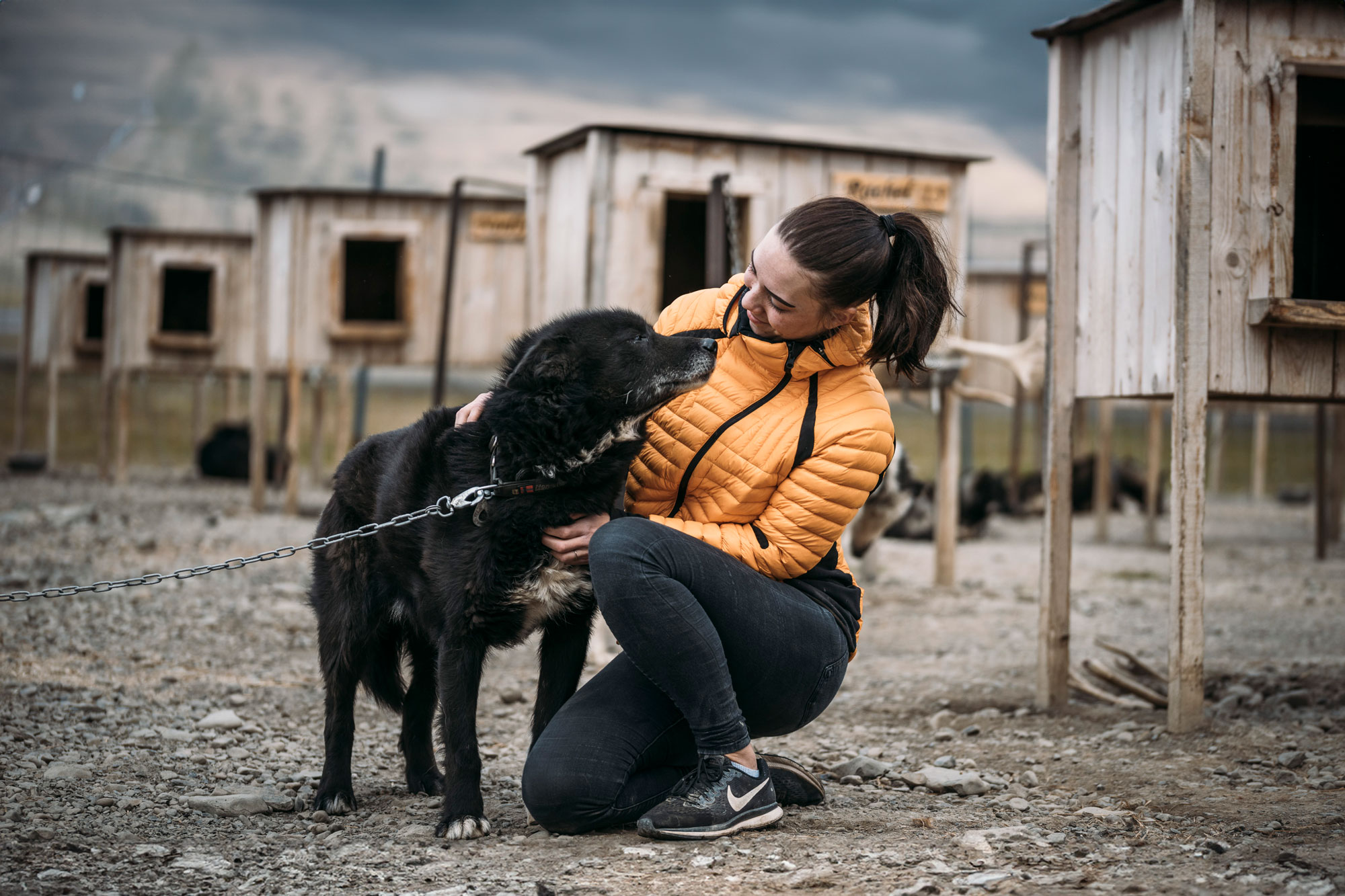 Dogs-on-wheels-Huskies_janchristophelle_11-Svalbard-2