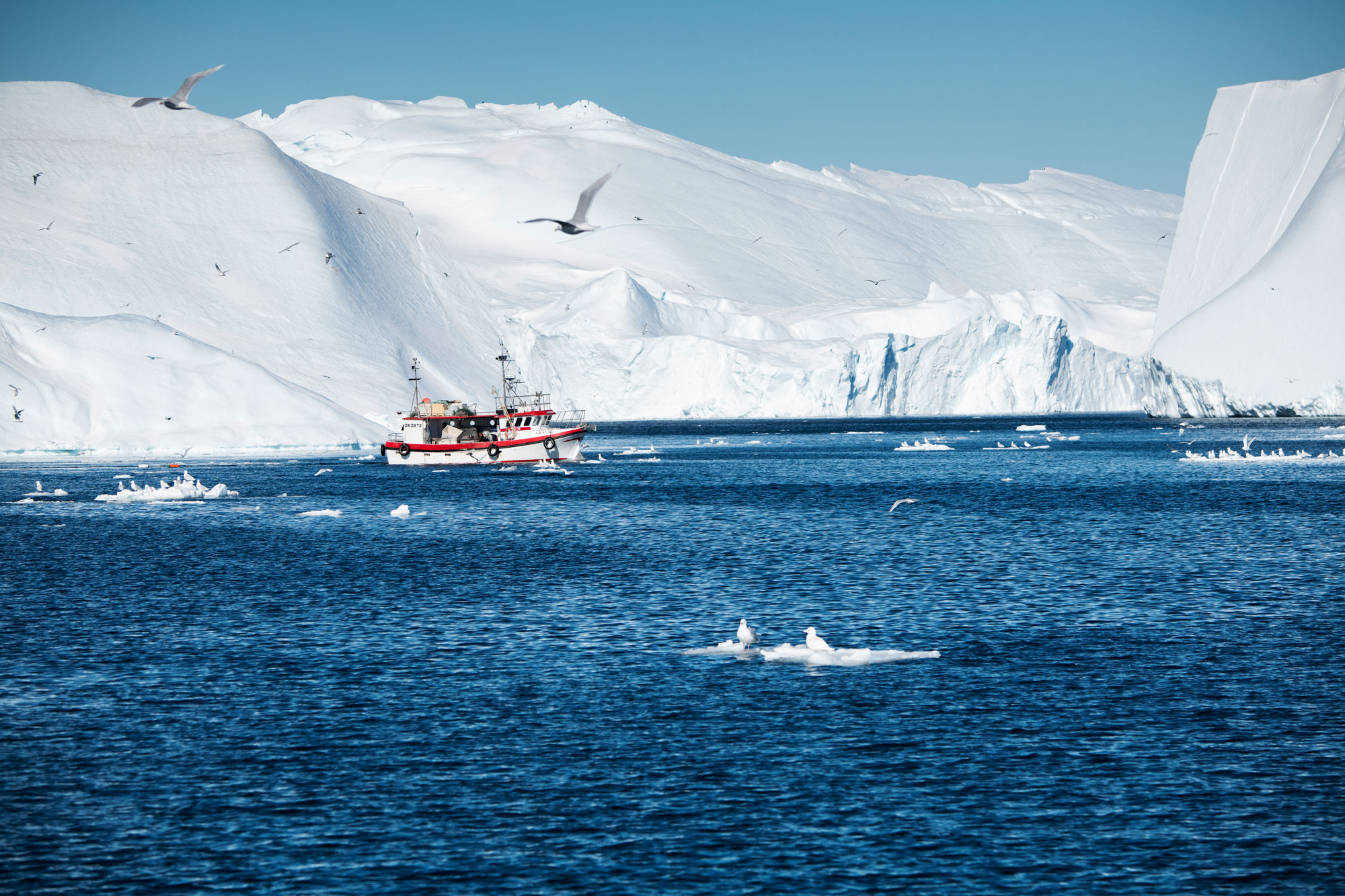 Greenland_West_Ilulissat_FishingBoat-2