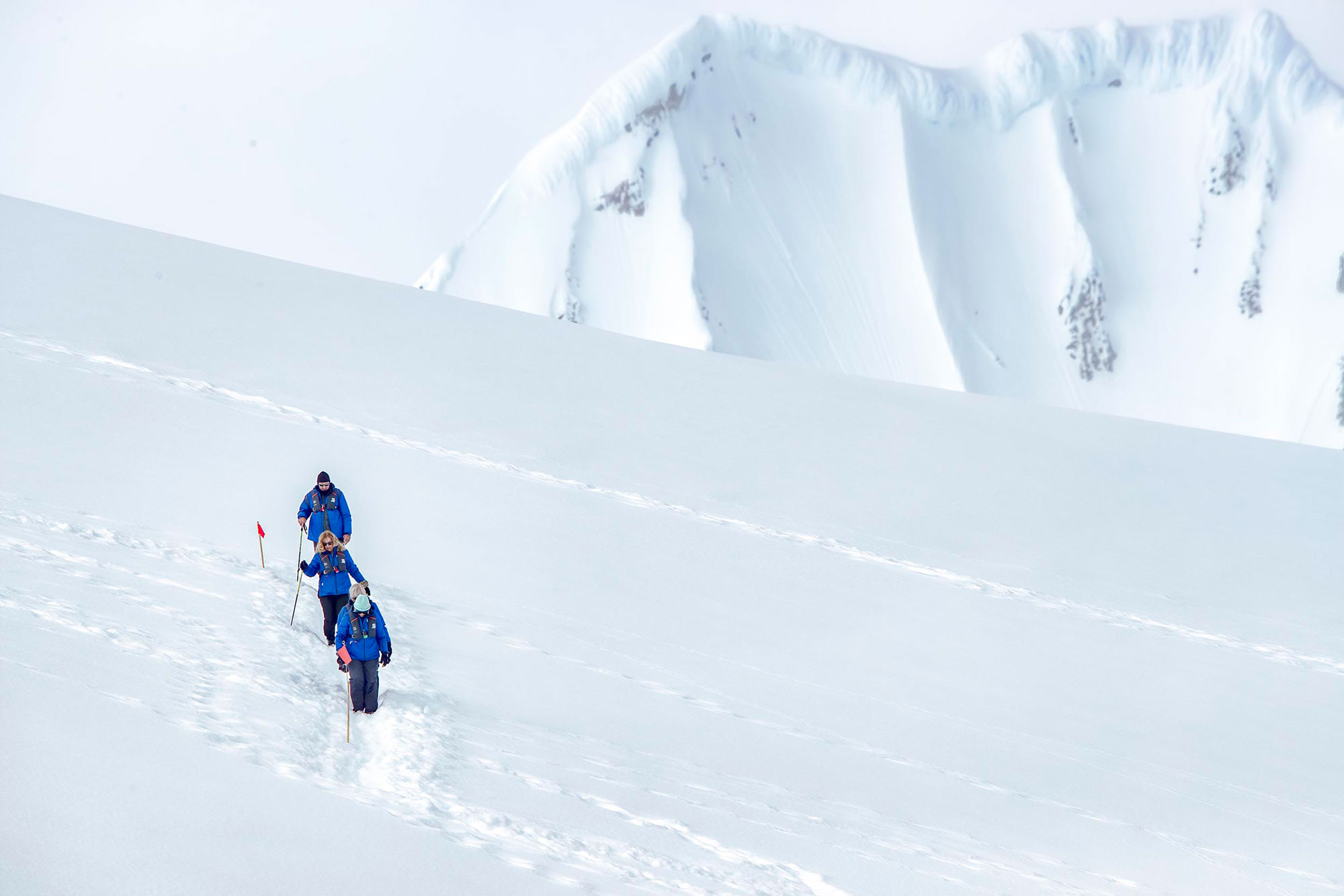 Snowshoe-1