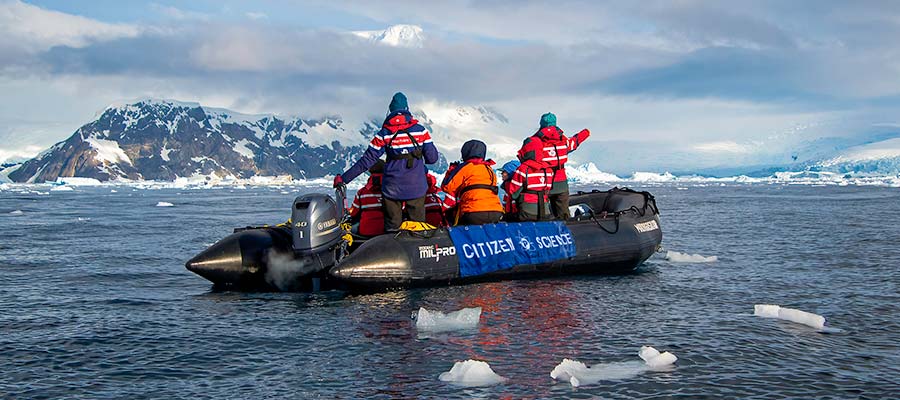 Citizen Scientists on a Zodiac