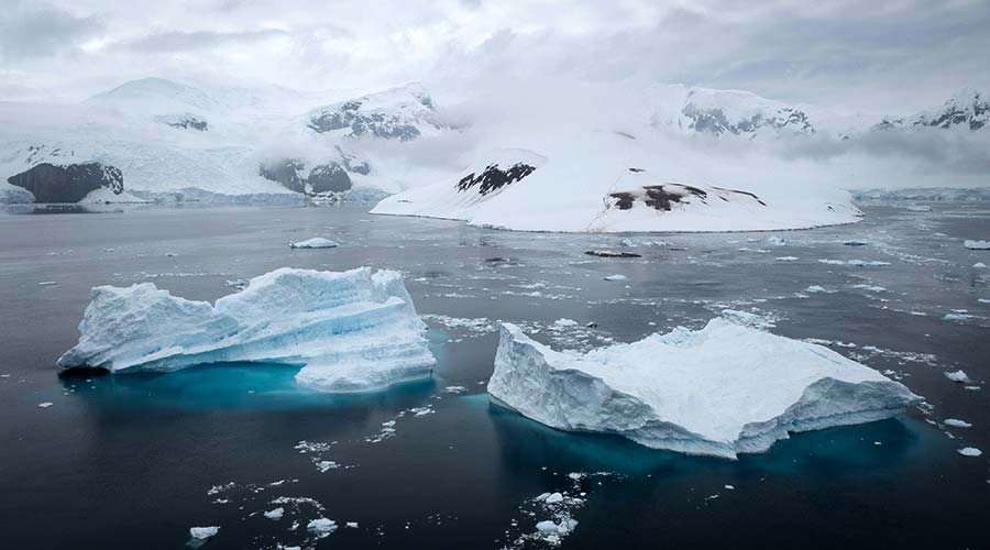 general-antarctica-short