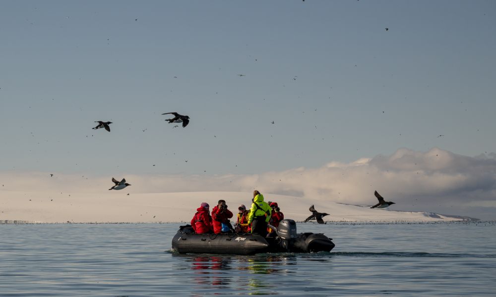 People in Zodiac looking for surfacing Brünnich’s guillemots.