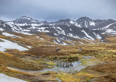 Landscape in South Georgia